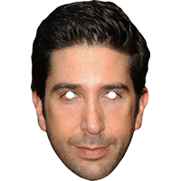 David Schwimmer Mask Friends