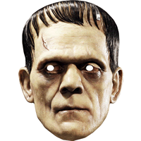 Frankenstein Halloween Fancy Dress Face Mask