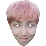 RM Kim Nam-joon BTS Mask